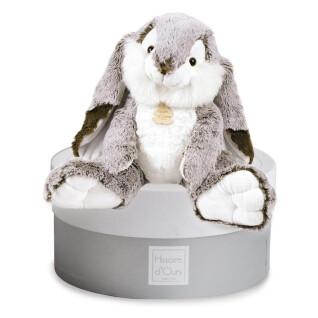 Plysch Histoire d'Ours Lapin Marius