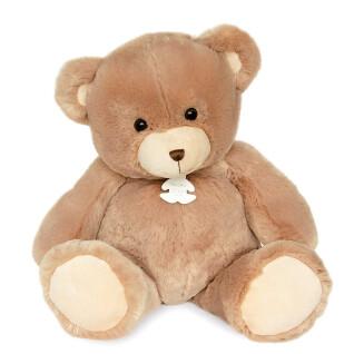 Plysch Histoire d'Ours Ours Bellydou