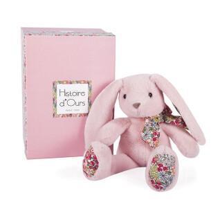 Plysch Histoire d'Ours Lapin