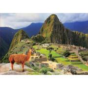 Pussel med 1000 bitar Educa Machu Picchu